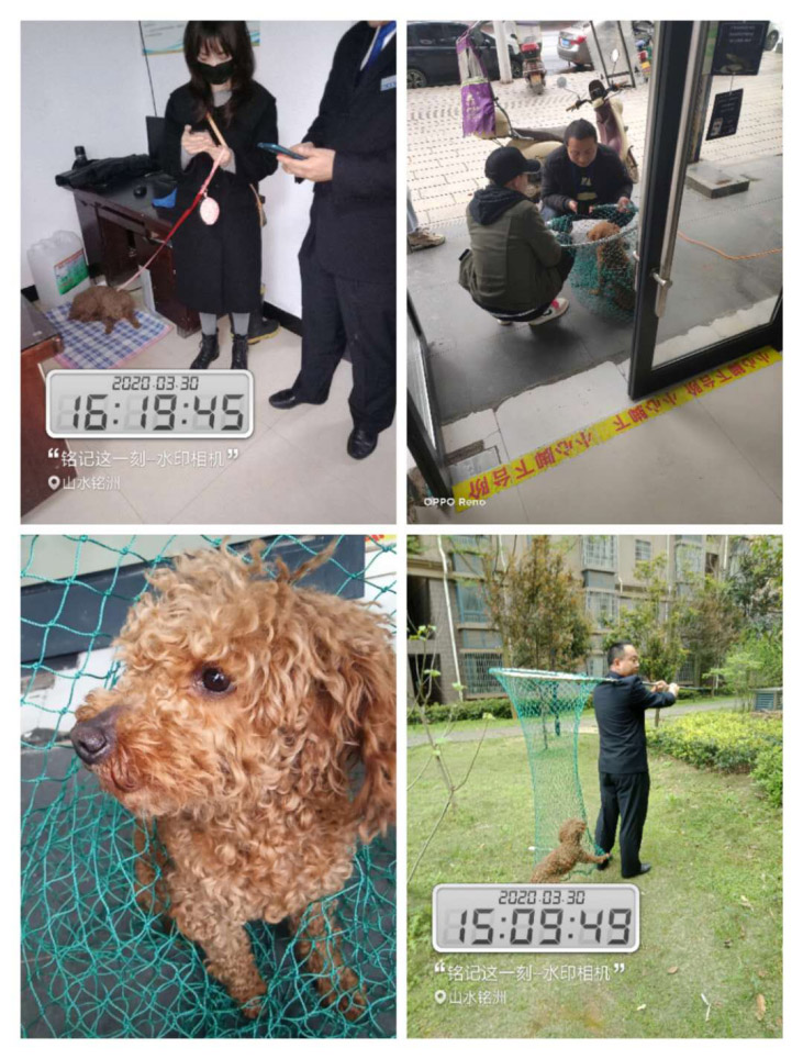 常德市陽光物業(yè)服務有限公司,常德物業(yè)管理,物業(yè)企業(yè),陽光物業(yè) 常德市陽光物業(yè)服務有限公司,常德物業(yè)管理,物業(yè)企業(yè),陽光物業(yè)